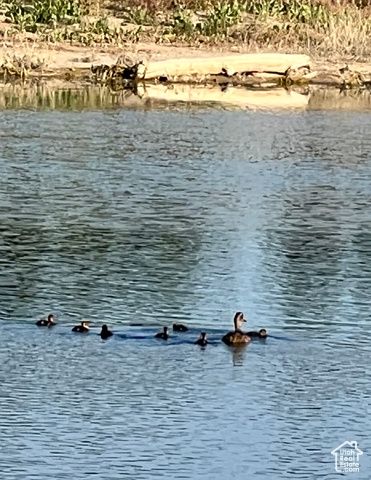 3880 S 4550 W, West Haven, UT 84401