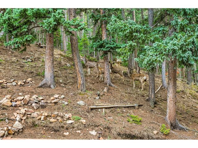 34788 Forest Estates Rd, Evergreen, CO 80439