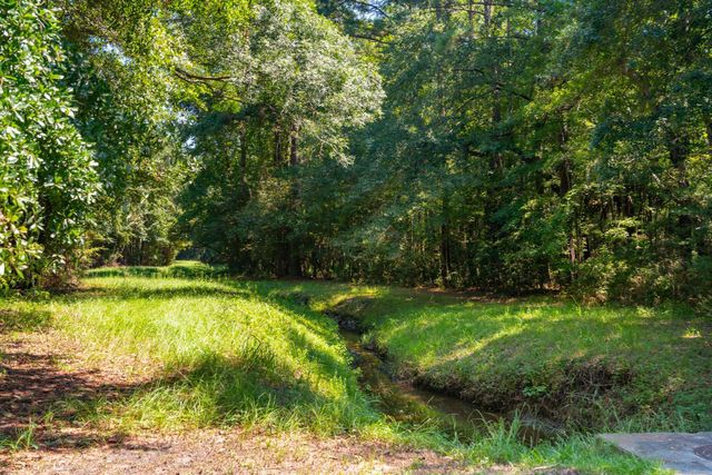 0 Darrell Creek Trail, Mount Pleasant, SC 29466