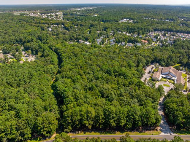 0 Darrell Creek Trail, Mount Pleasant, SC 29466