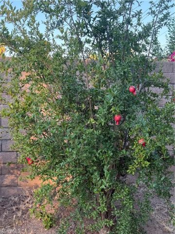 18334 San Jose, Porter Ranch, CA 91326