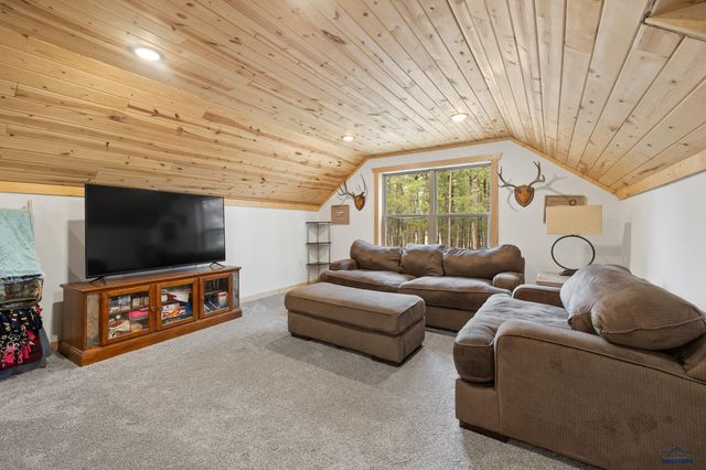 12354 TIN CUP TRAIL, Custer, SD 57730