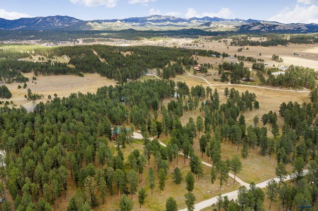 12354 TIN CUP TRAIL, Custer, SD 57730