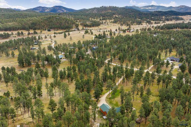 12354 TIN CUP TRAIL, Custer, SD 57730