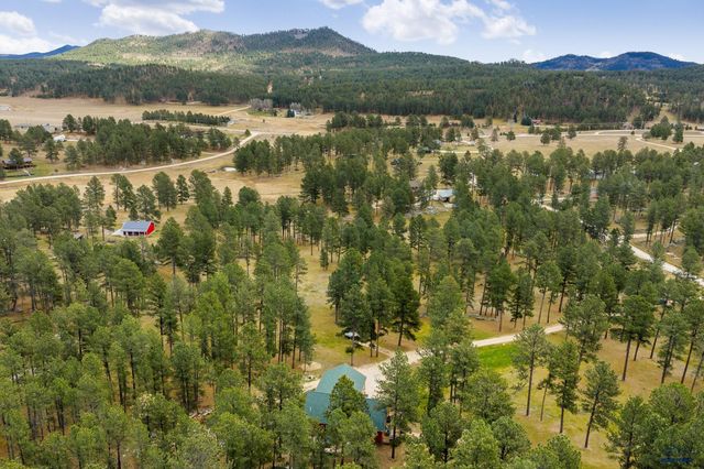 12354 TIN CUP TRAIL, Custer, SD 57730