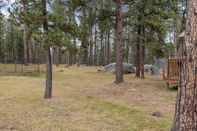 12354 TIN CUP TRAIL, Custer, SD 57730