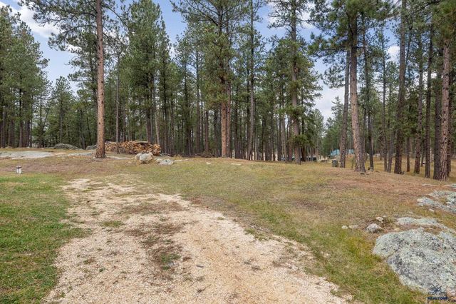 12354 TIN CUP TRAIL, Custer, SD 57730