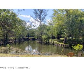 0 Tiger Street, Dade City, FL 33523