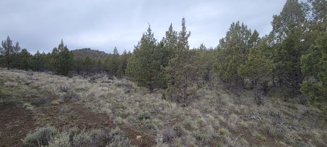 SE Osprey Road, Prineville, OR 97754