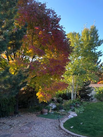 724 Wedge Drive, Grand Junction, CO 81506