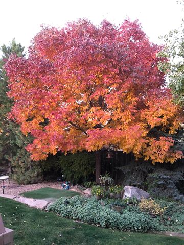 724 Wedge Drive, Grand Junction, CO 81506