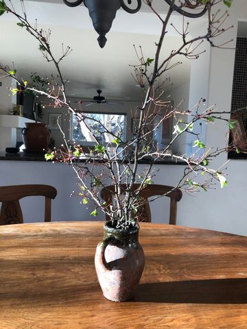 724 Wedge Drive, Grand Junction, CO 81506