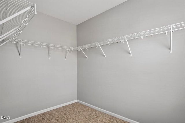 1034 Statler Drive, Durham, NC 27703