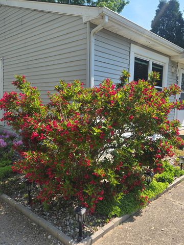 808 E Grant Street, Greenville City, MI 48838