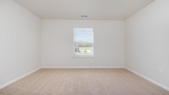 272 Red Buckeye Dr., Conway, SC 29527