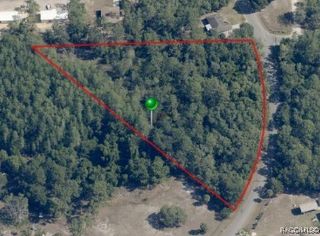 6154 S Lewdingar Drive, Homosassa, FL 34446