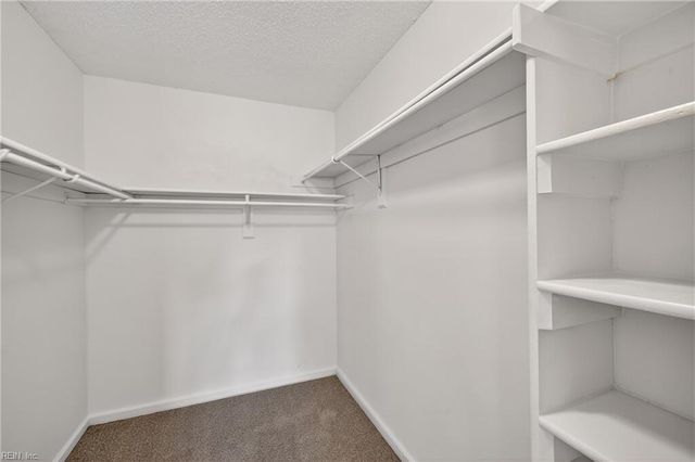 4919 Cypress Point CIR, Virginia Beach, VA 23455