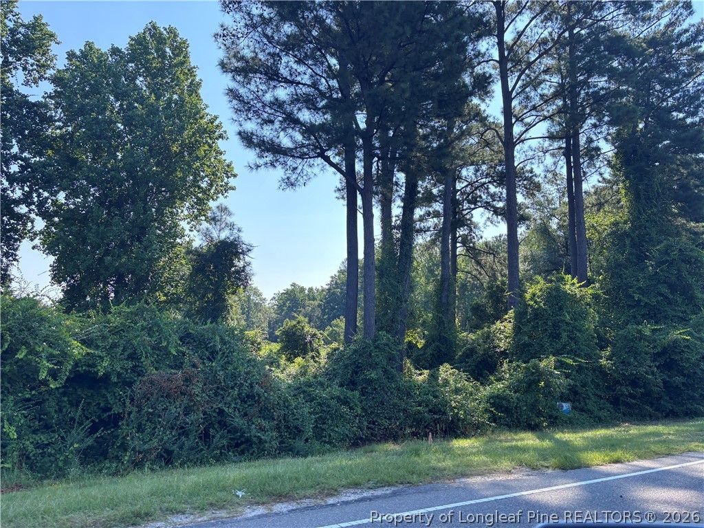 McArthur Road, Fayetteville, NC 28311 — photo 2