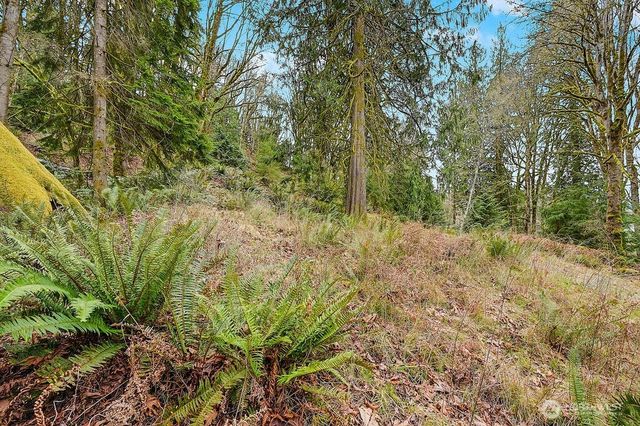 376 Beach Drive, Quilcene, WA 98376