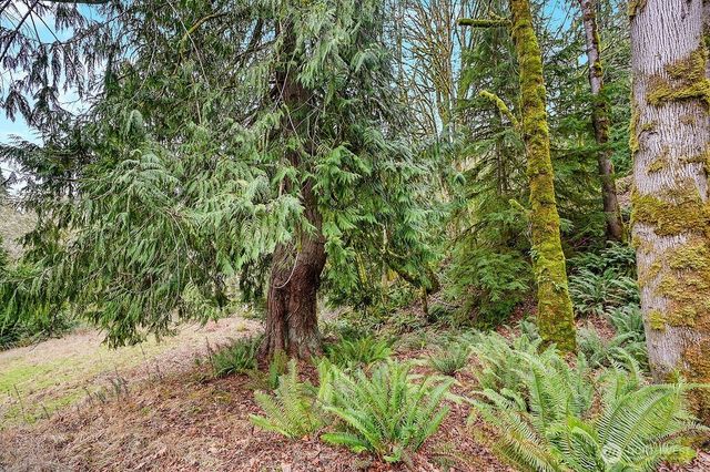 376 Beach Drive, Quilcene, WA 98376