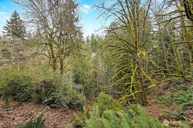 376 Beach Drive, Quilcene, WA 98376