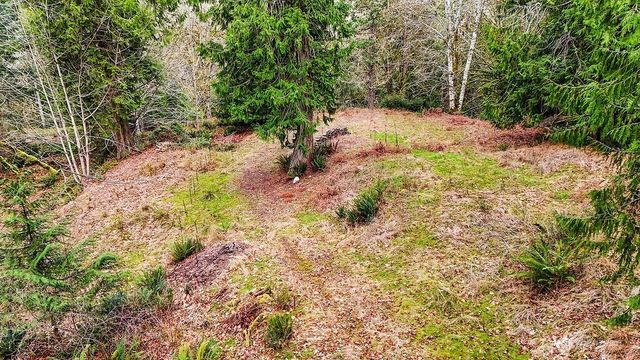376 Beach Drive, Quilcene, WA 98376