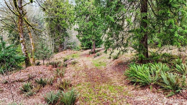 376 Beach Drive, Quilcene, WA 98376