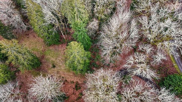 376 Beach Drive, Quilcene, WA 98376