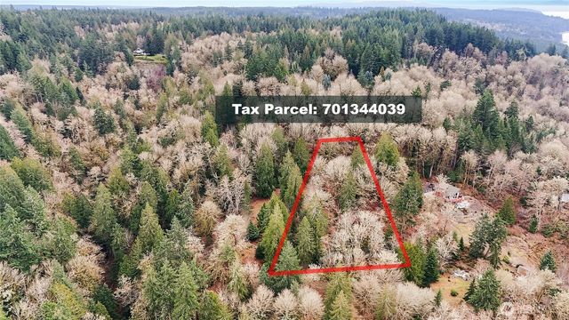 376 Beach Drive, Quilcene, WA 98376