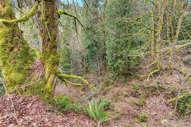 376 Beach Drive, Quilcene, WA 98376