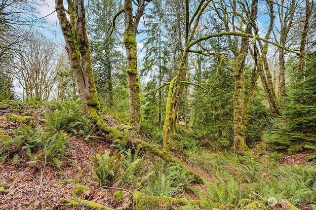 376 Beach Drive, Quilcene, WA 98376