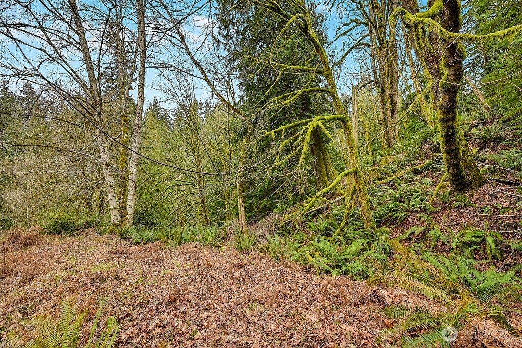 376 Beach Drive, Quilcene, WA 98376