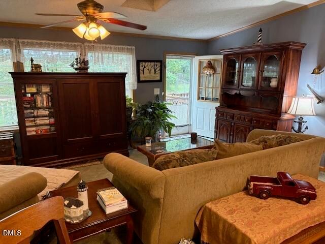 4620 Timberwood Trail, Efland, NC 27243