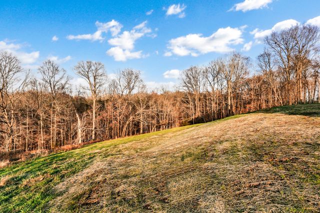 1551 Buck Ridge Ct, Cunningham, TN 37052