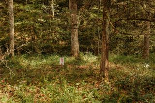 TBD Lot 34 Sandy Ridge Road, Campton, KY 41301