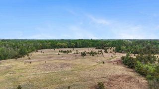 TBD County 49, Pine River, MN 56474