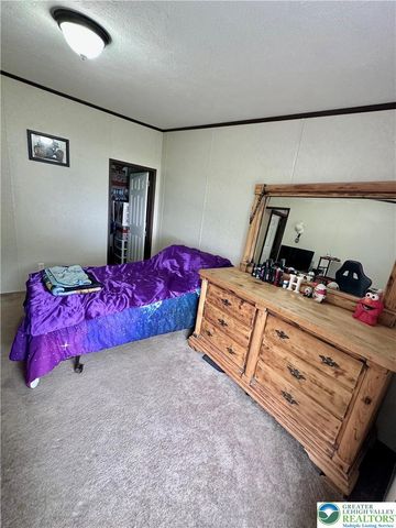 435 Mountain Village Drive, Longswamp Twp, PA 18062