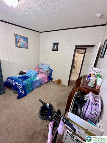 435 Mountain Village Drive, Longswamp Twp, PA 18062