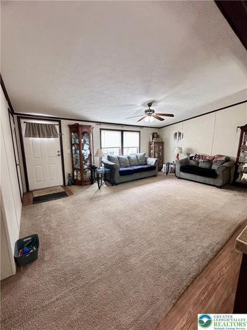 435 Mountain Village Drive, Longswamp Twp, PA 18062