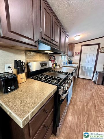 435 Mountain Village Drive, Longswamp Twp, PA 18062