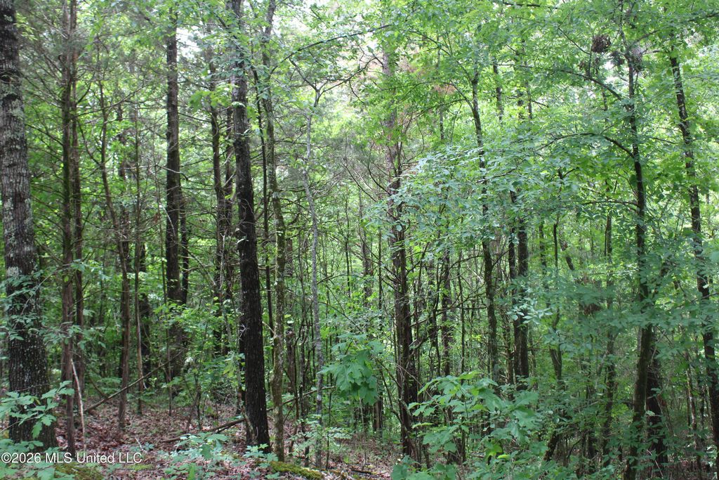 590 Richmond Road, Byhalia, MS 38611 — photo 4