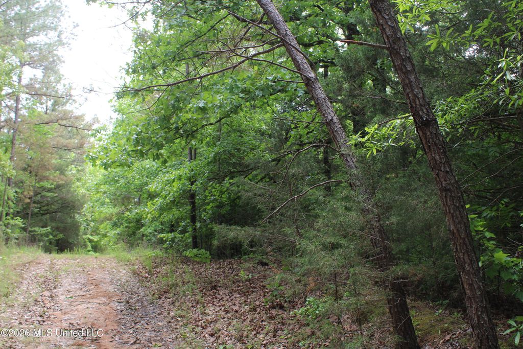 590 Richmond Road, Byhalia, MS 38611 — photo 5