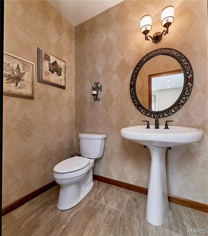16 Delacroix Place, St Charles, MO 63303