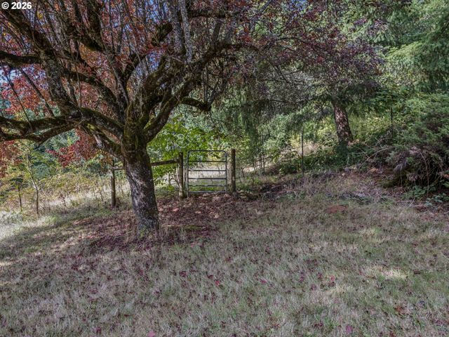 19955 Se TILLSTROM Rd, Damascus, OR 97089
