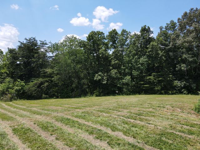 3118 Hamilton Valley Road, Crab Orchard, KY 40419