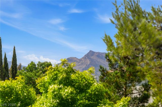 2005 Marble Gorge Drive, Las Vegas, NV 89117