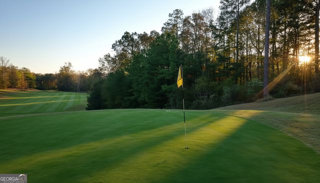 44 S Arbor Shores, Newnan, GA 30265