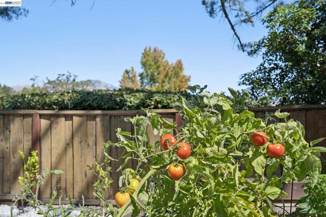 222 Remington Loop, Danville, CA 94526