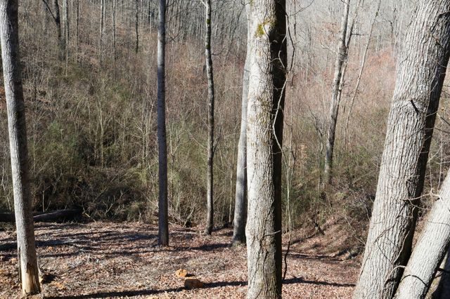 8634 Holmes Creek Road, Smithville, TN 37166