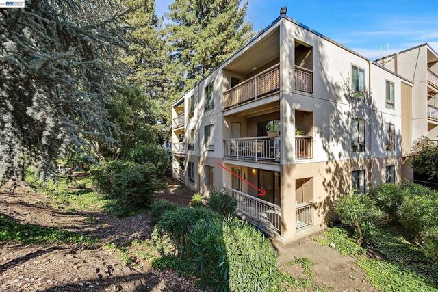 310 N Civic Dr 101, Walnut Creek, CA 94596